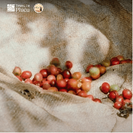 Hợp Tác Với E De Cafe